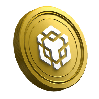 Token BNB della piattaforma Binance presentato nella sezione didattica dedicata ai trader alle prime armi